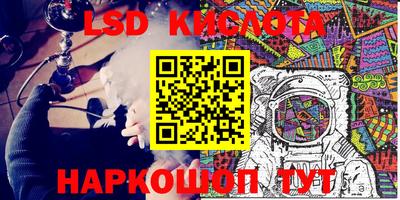 apvp Свободный