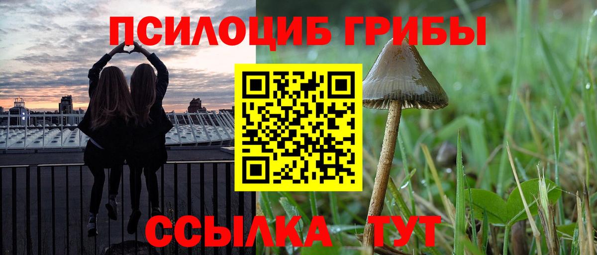 Ростов-на-Дону  Псилоцибиновые грибы ЛСД  Вход с VPN 