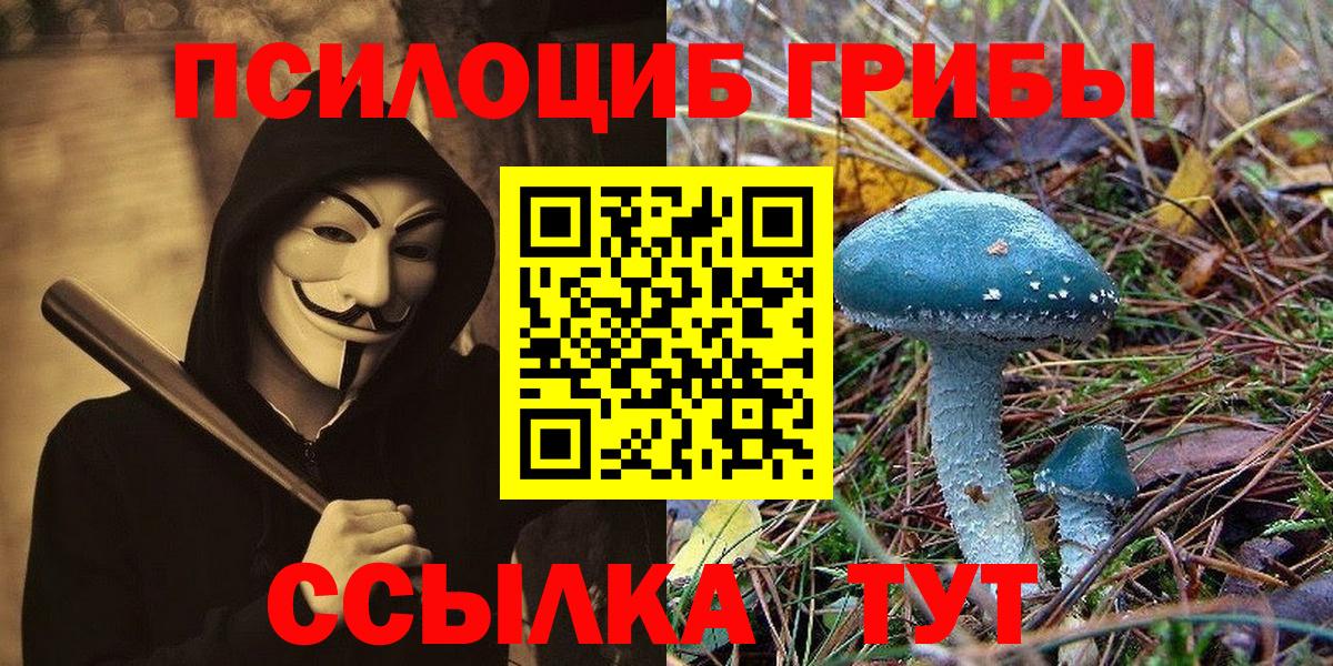 Псилоцибиновые грибы мицелий Ростов-на-Дону
